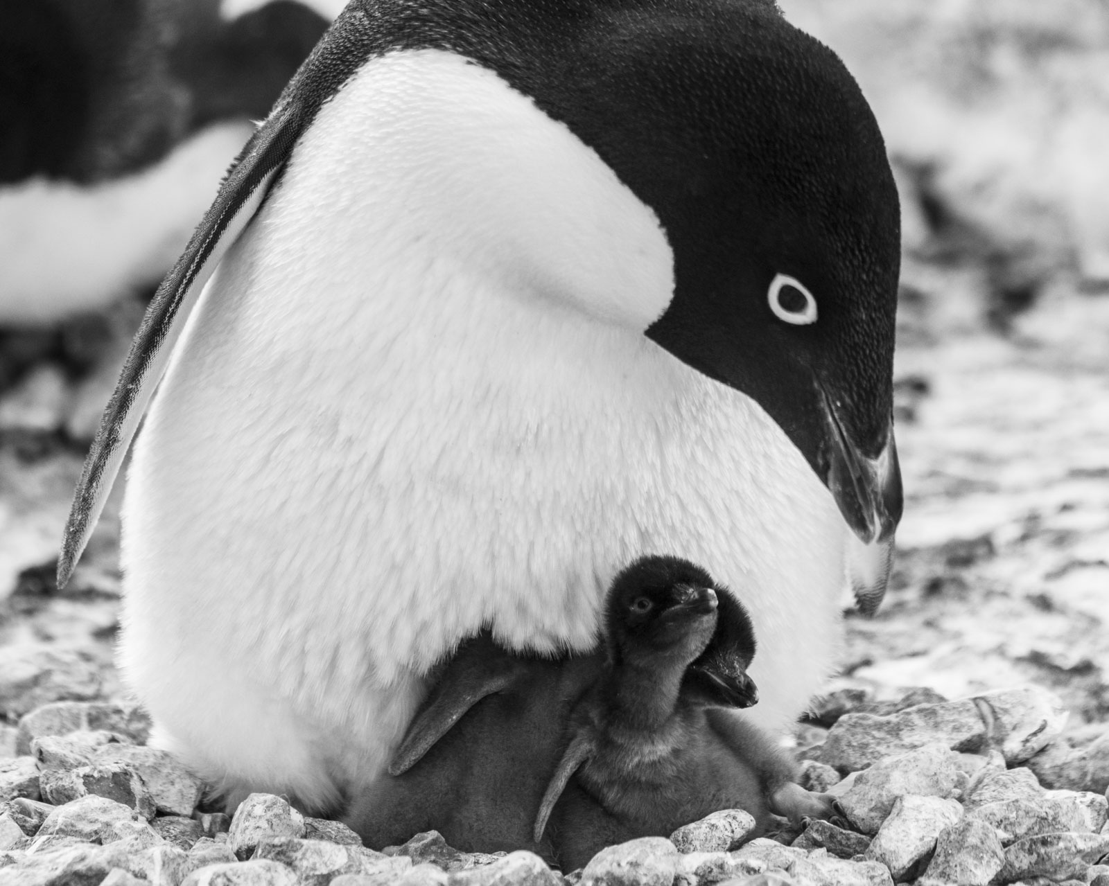 GYT 20221217 103621  DSC1376