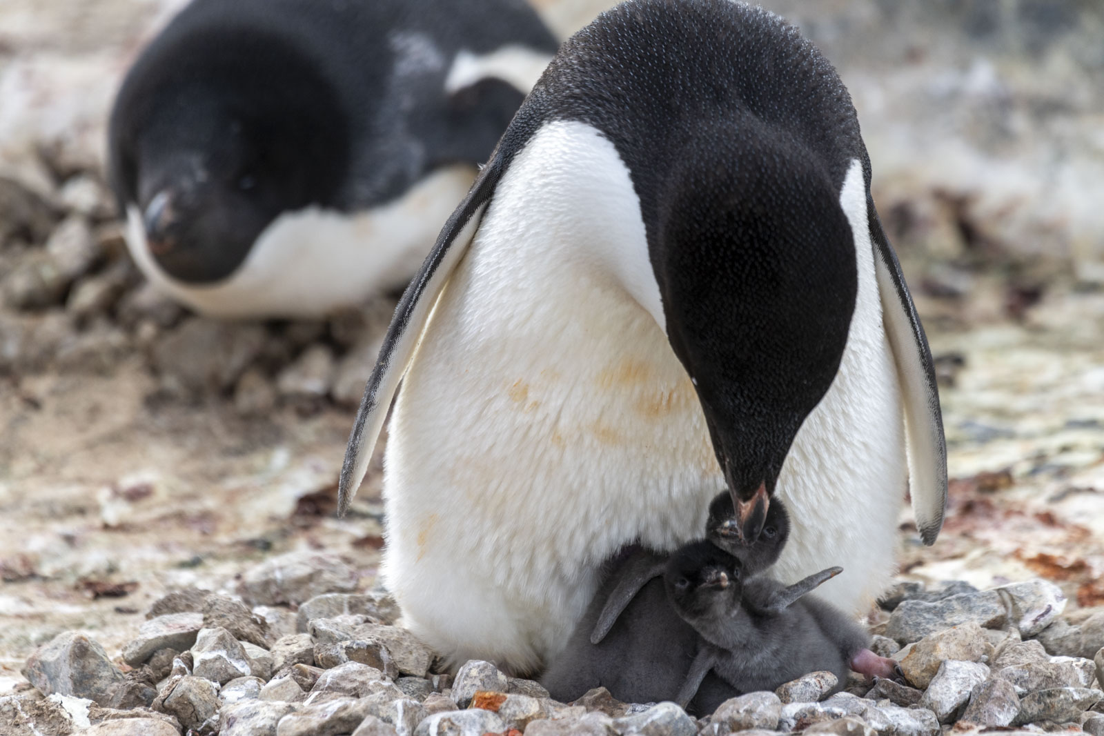 GYT 20221217 103623  DSC1378