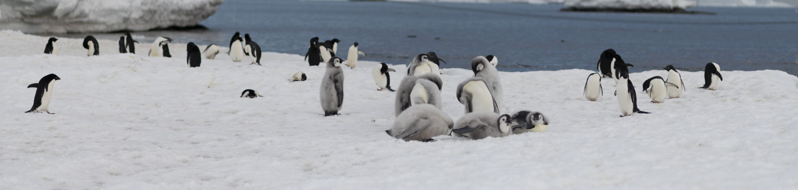 GYT 20221217 105559  DSC1386