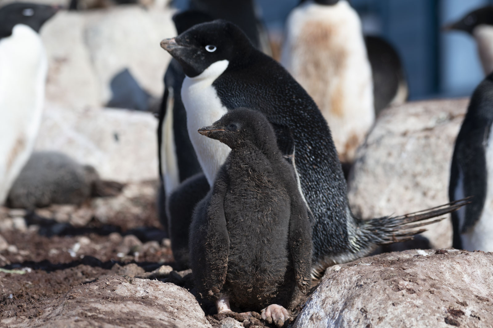 GYT 20230106 101515  DSC1553