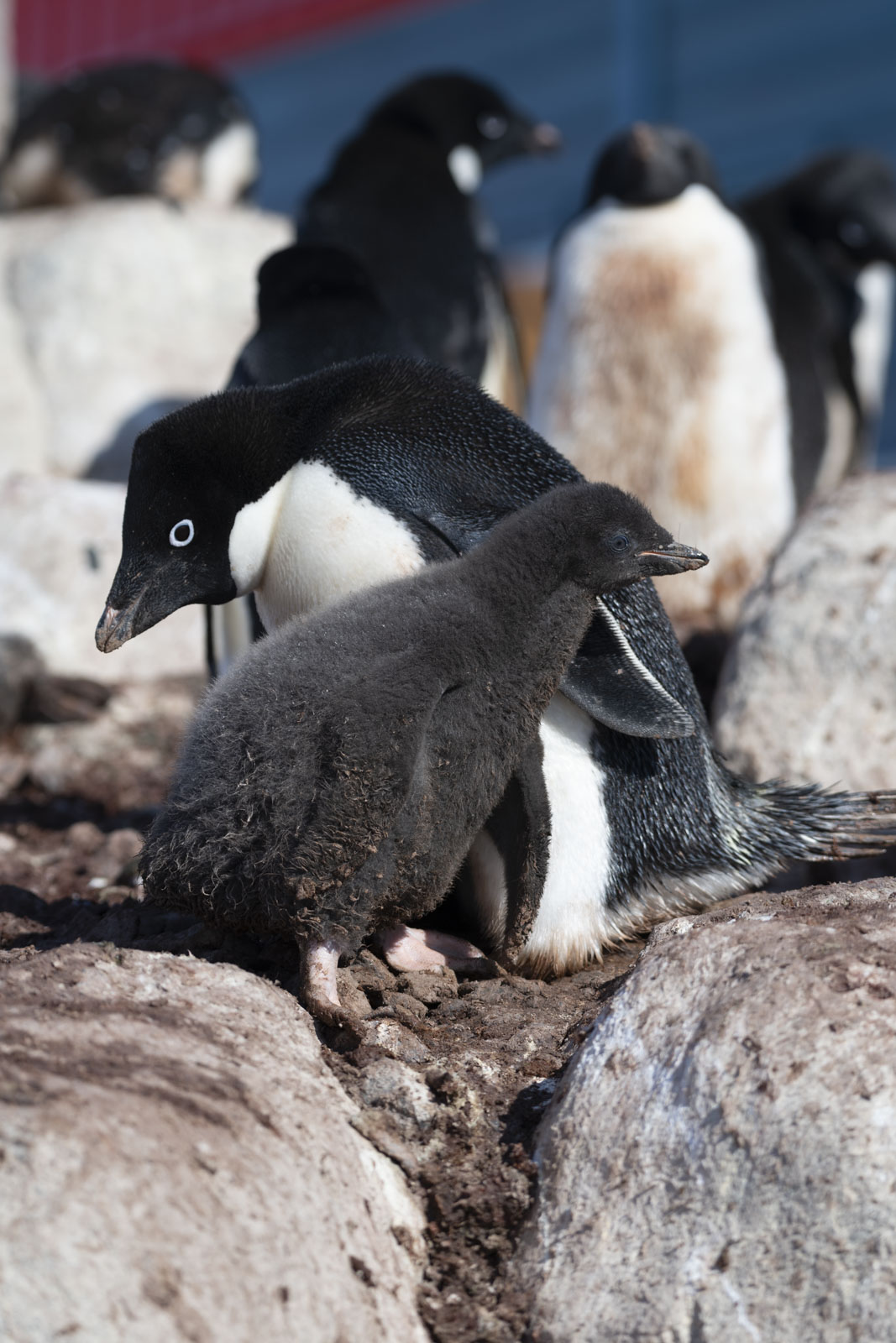 GYT 20230106 101522  DSC1554