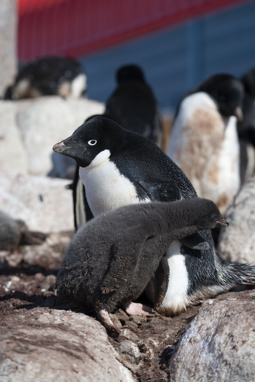 GYT 20230106 101525  DSC1555