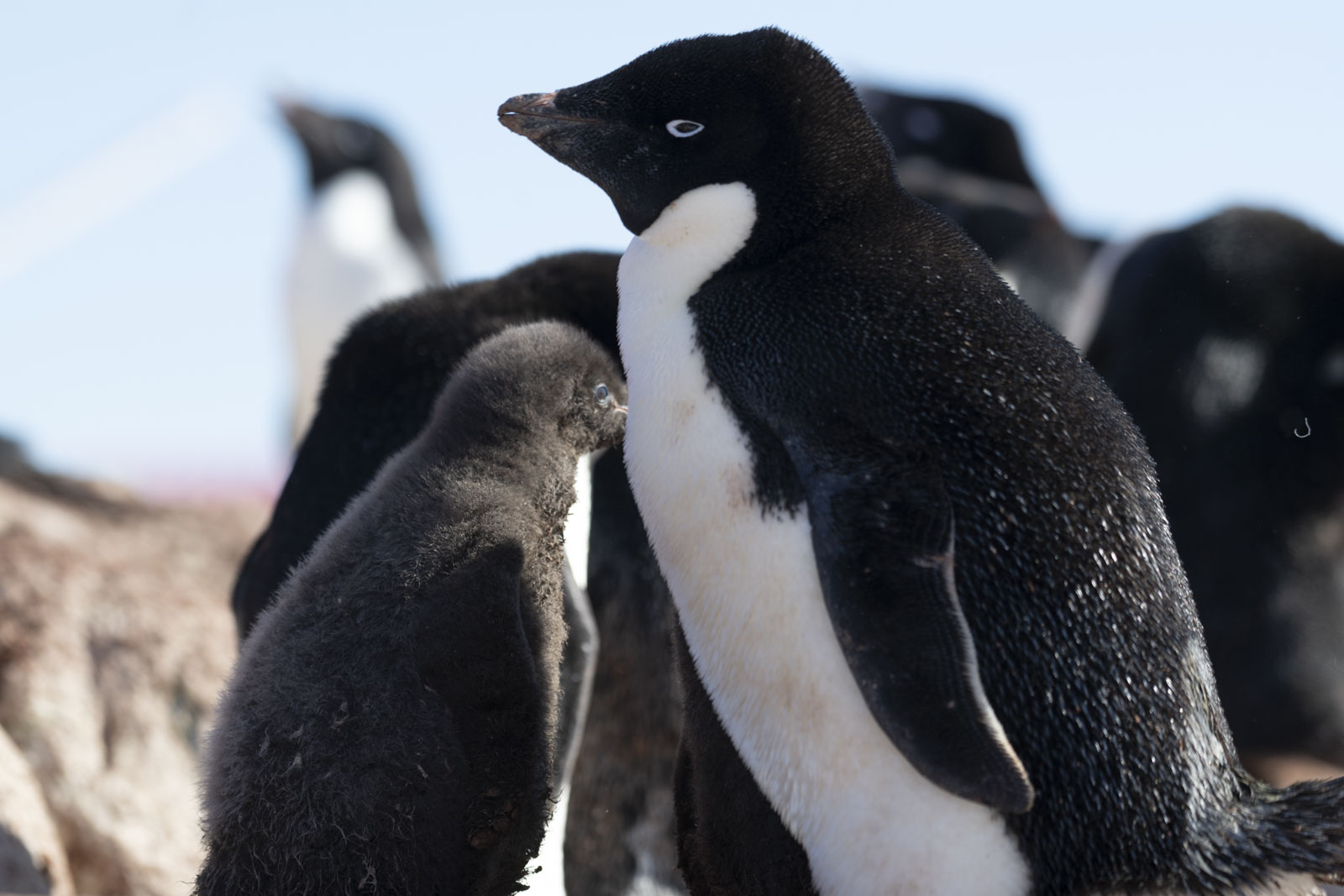 GYT 20230106 101600  DSC1556