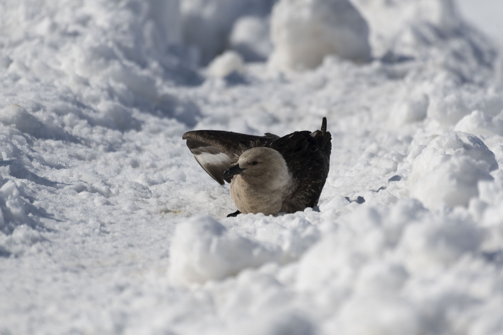 GYT 20230106 102205  DSC1560