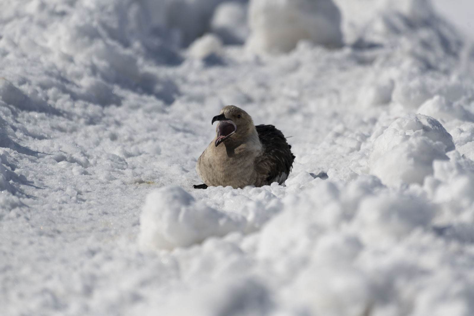 GYT 20230106 102218  DSC1561