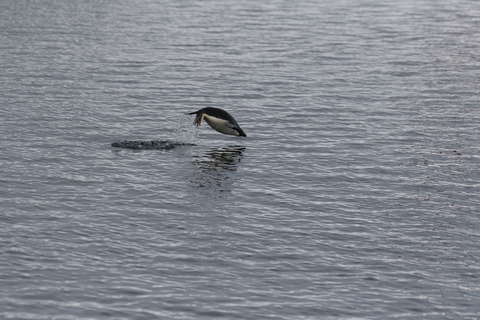 GYT 20230107 163946  DSC1573