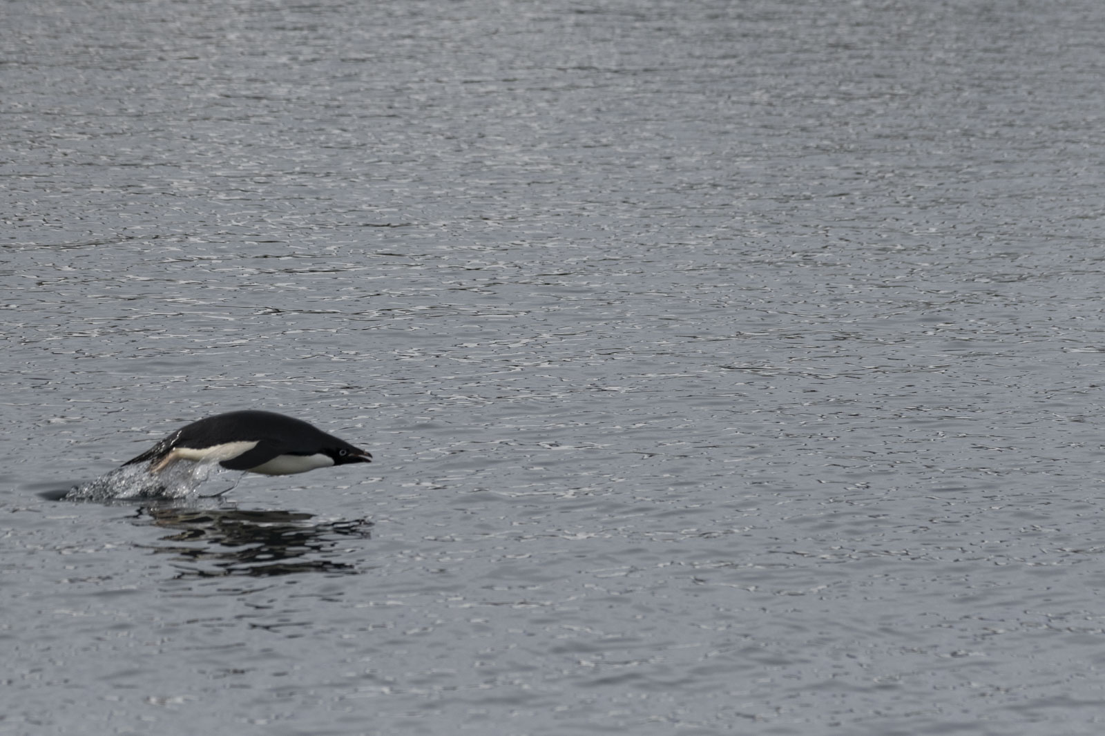 GYT 20230107 164030  DSC1578