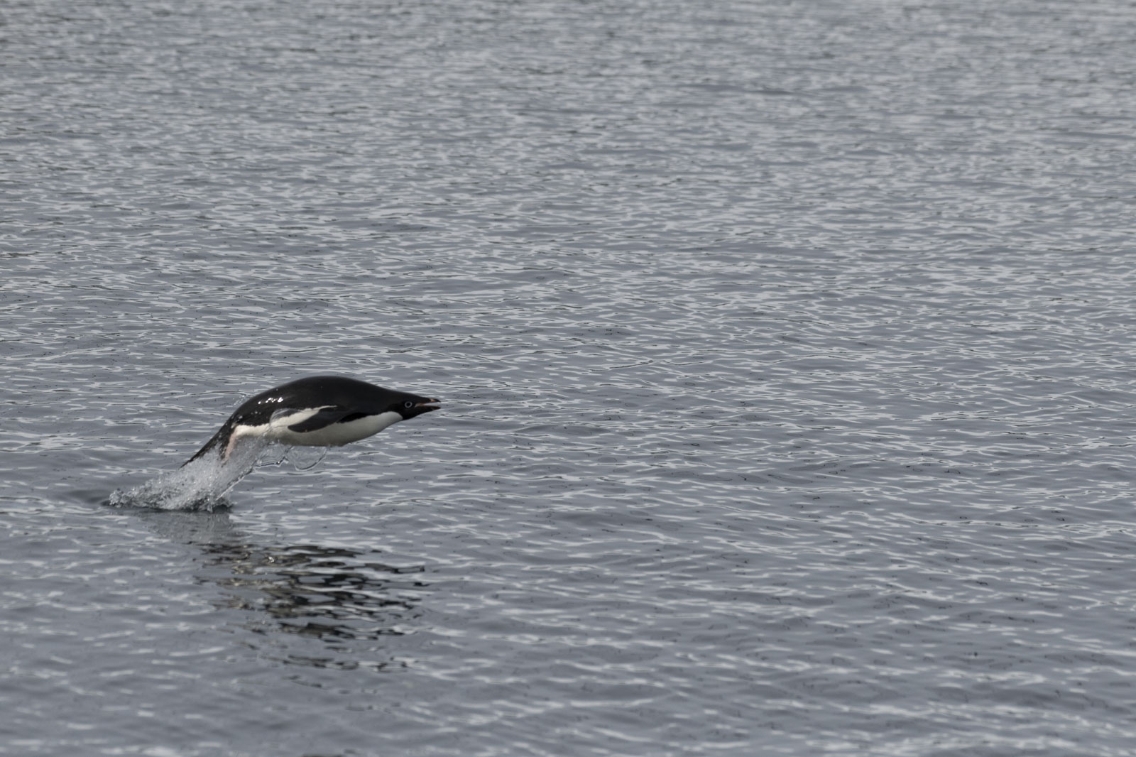 GYT 20230107 164034  DSC1581