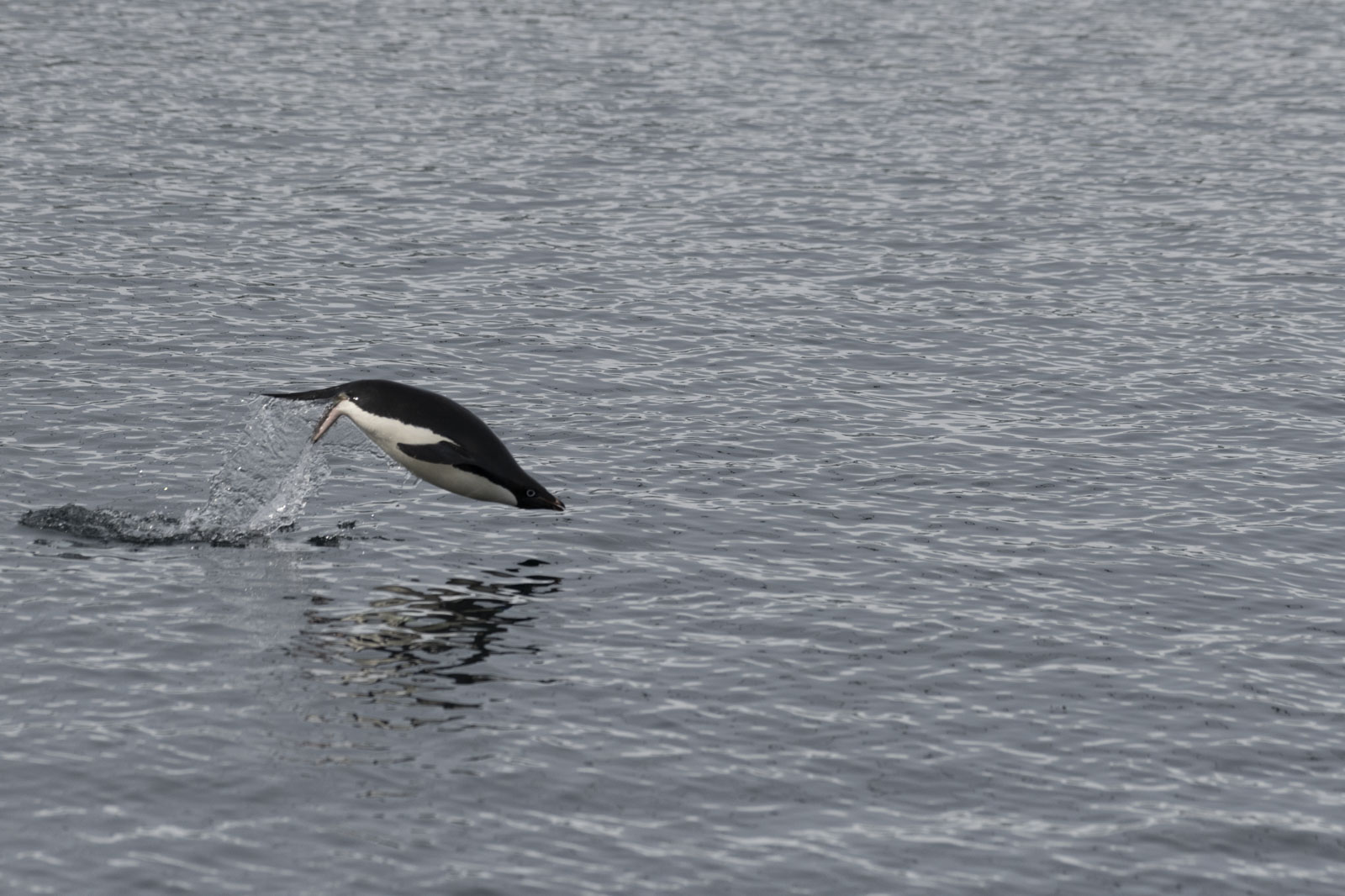 GYT 20230107 164034  DSC1582