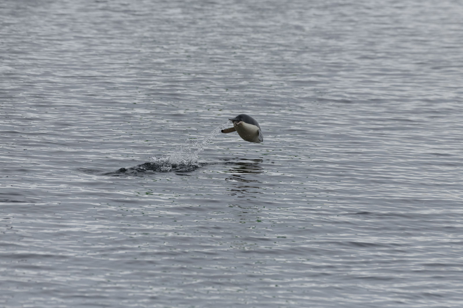 GYT 20230107 165439  DSC1605