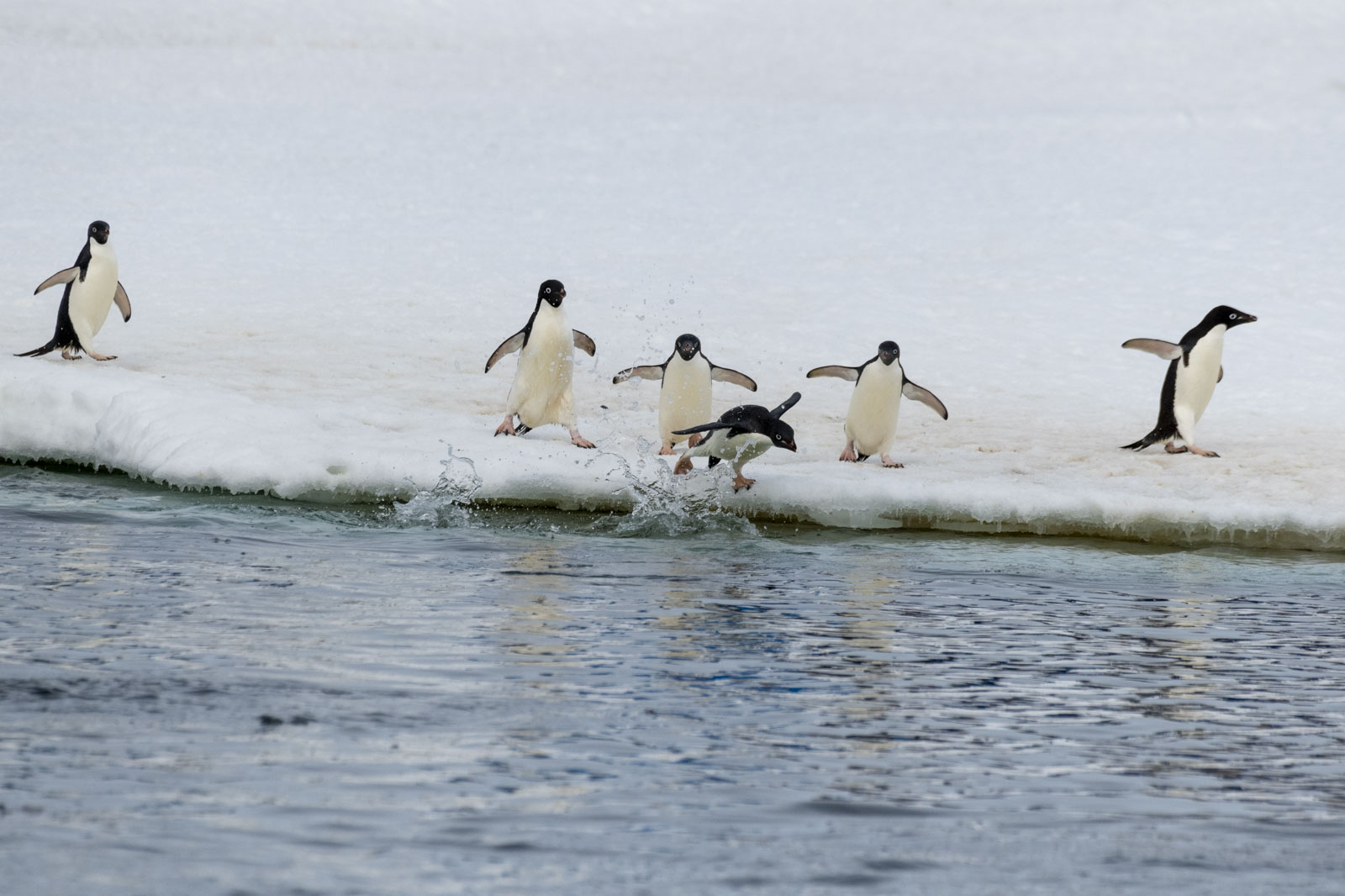 GYT 20230107 165621  DSC1613