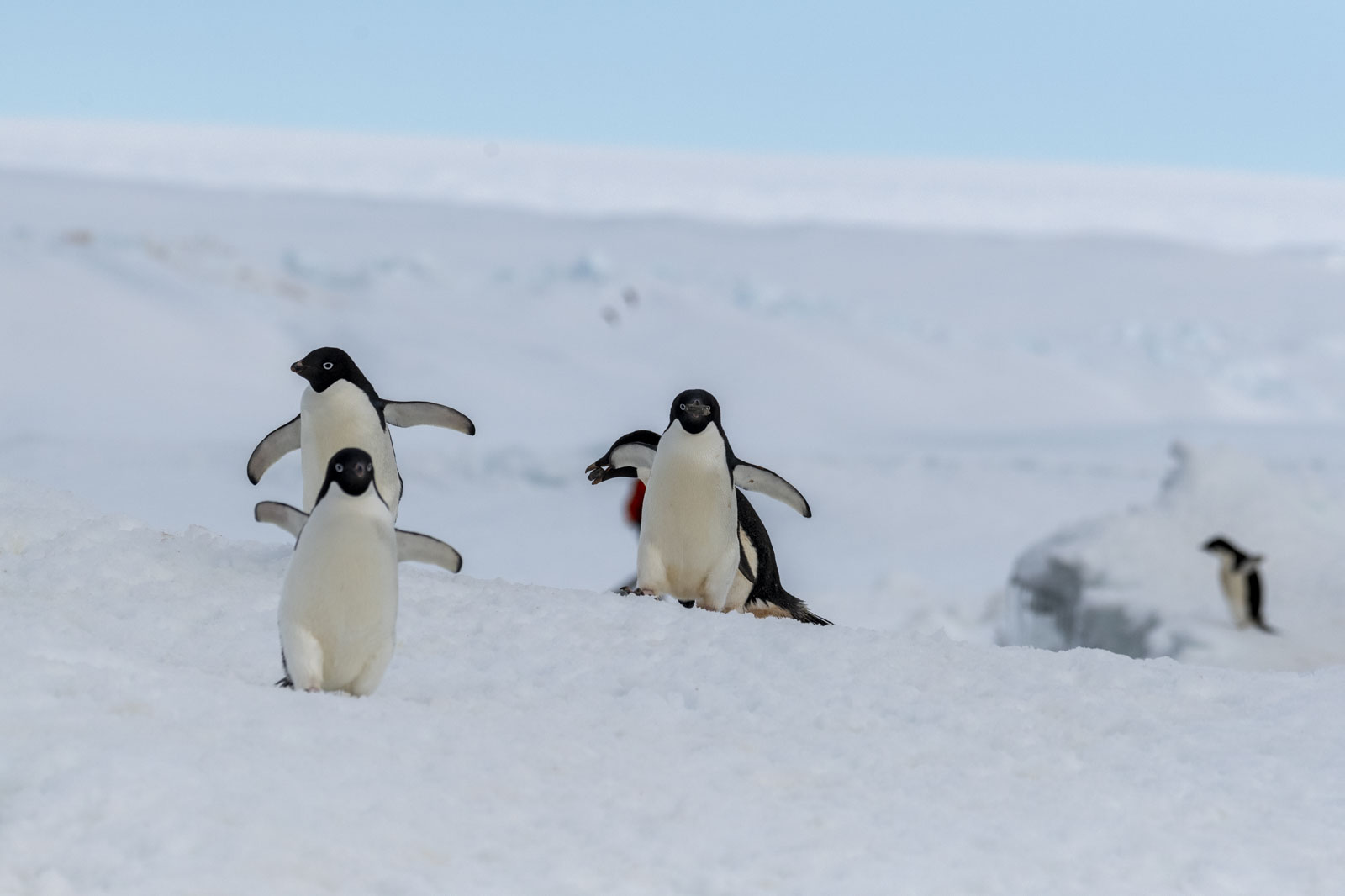 GYT 20230107 165739  DSC1618