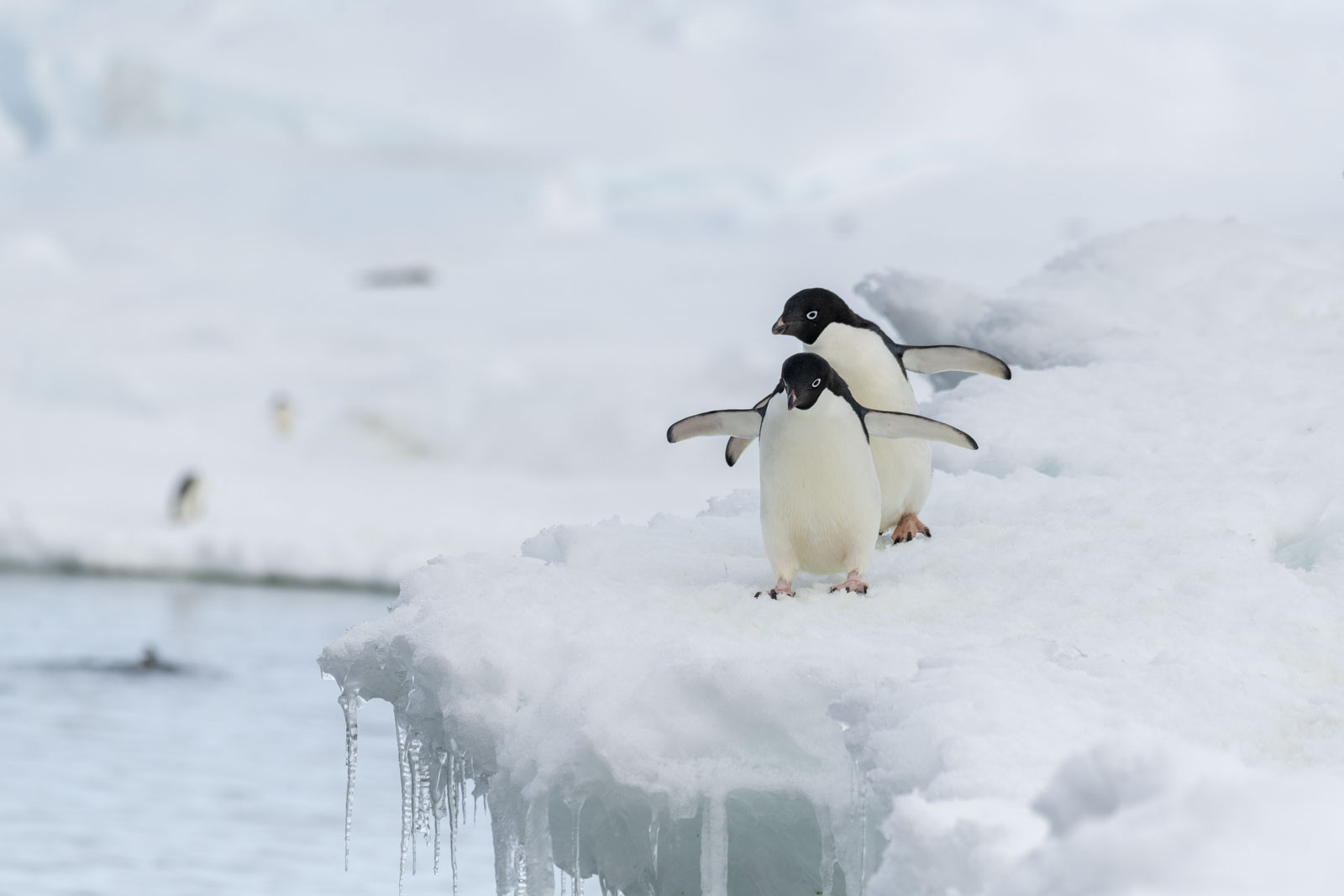 GYT 20230107 165756  DSC1620