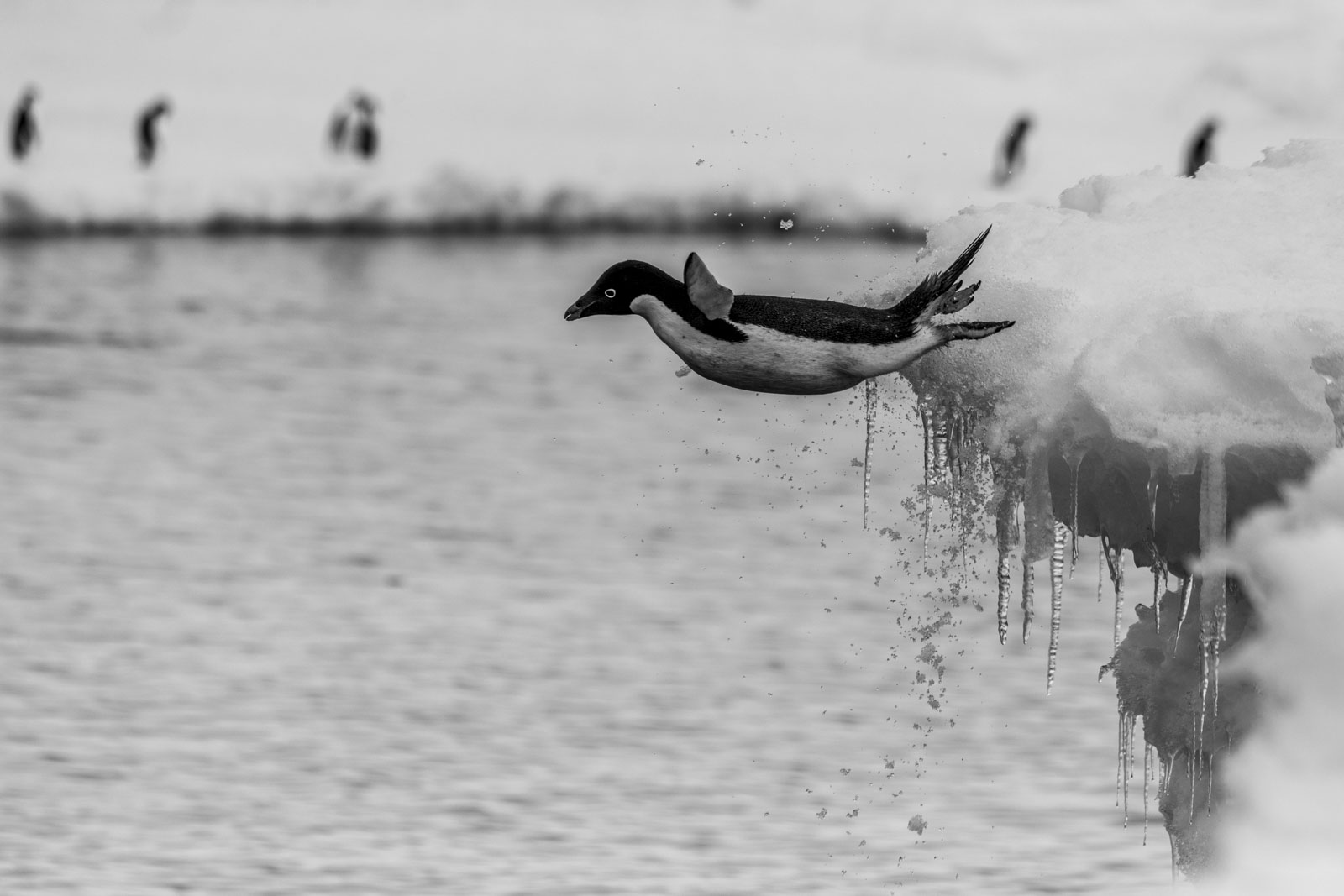 GYT 20230107 170209  DSC1631