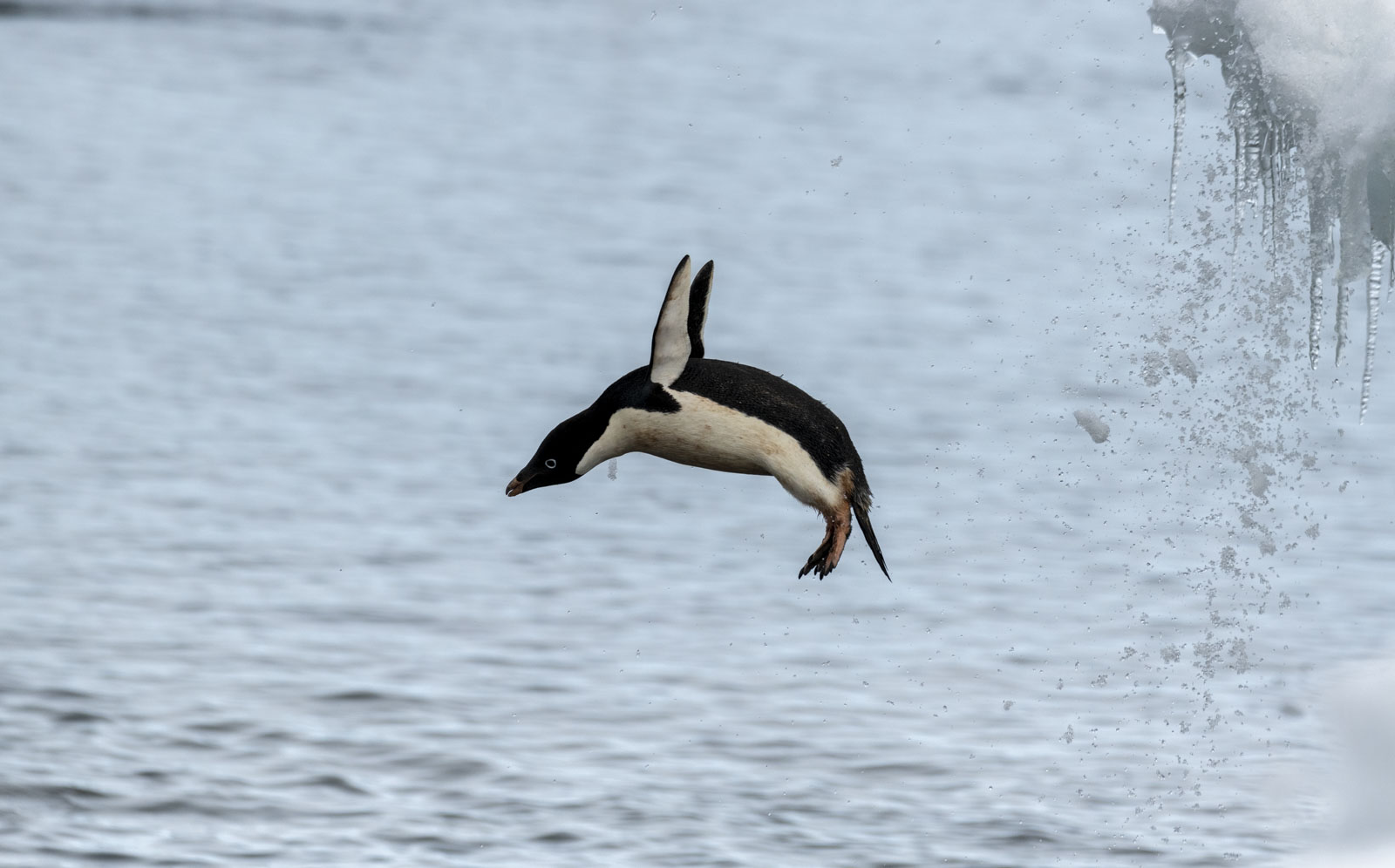 GYT 20230107 170209  DSC1632