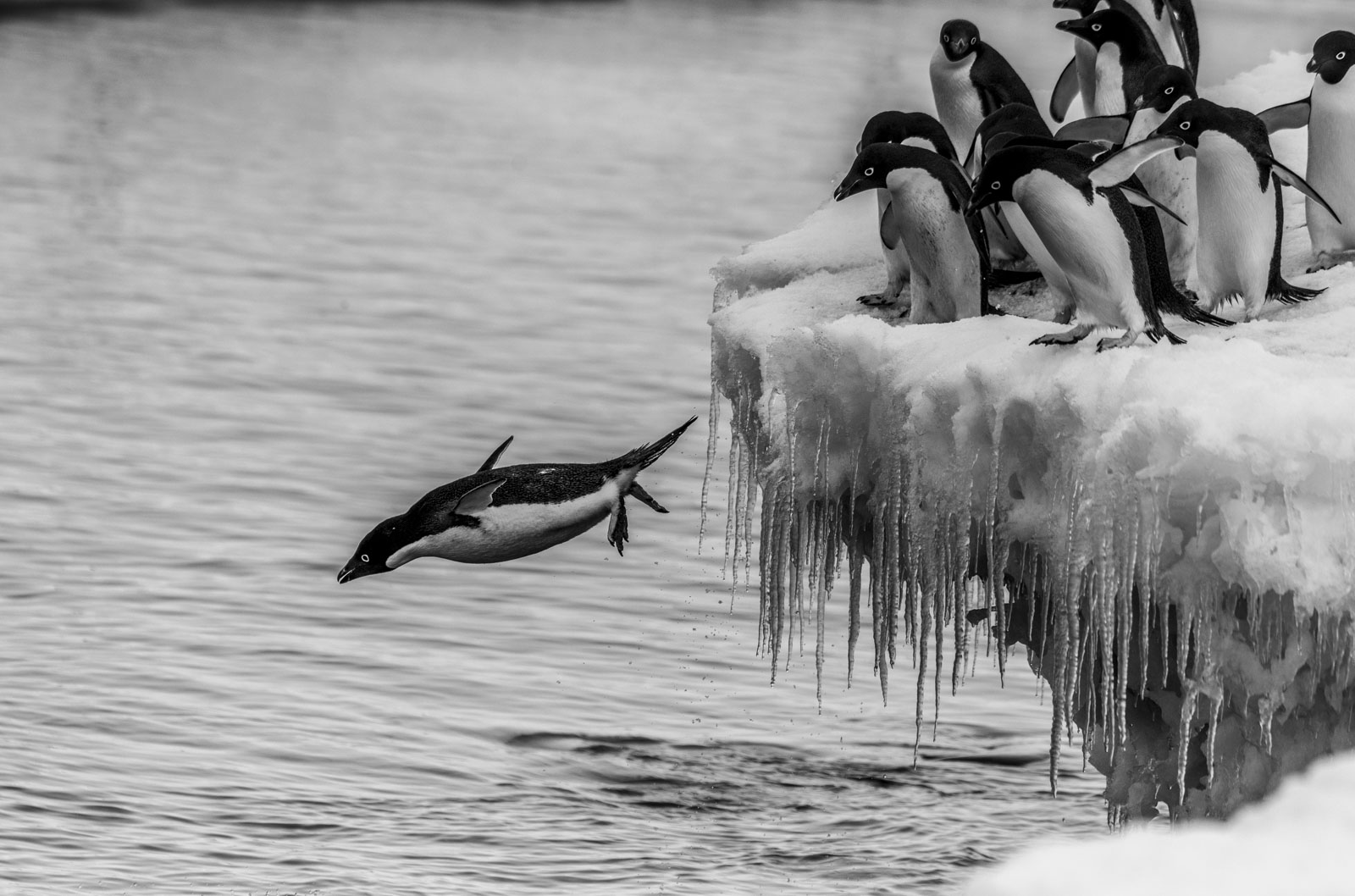 GYT 20230107 170631  DSC1637