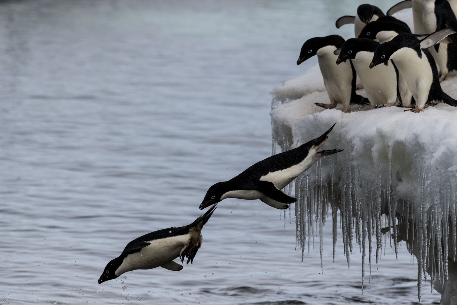 GYT 20230107 170632  DSC1641