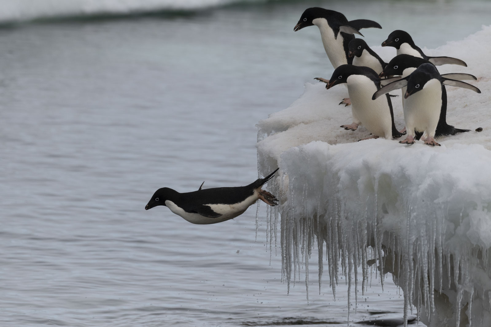 GYT 20230107 170634  DSC1646