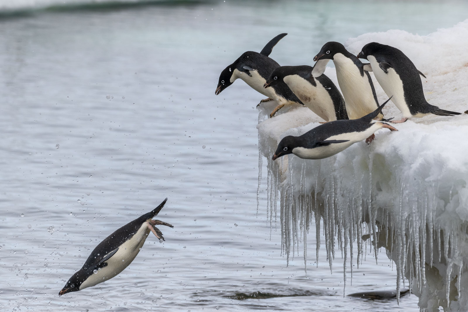 GYT 20230107 170634  DSC1649