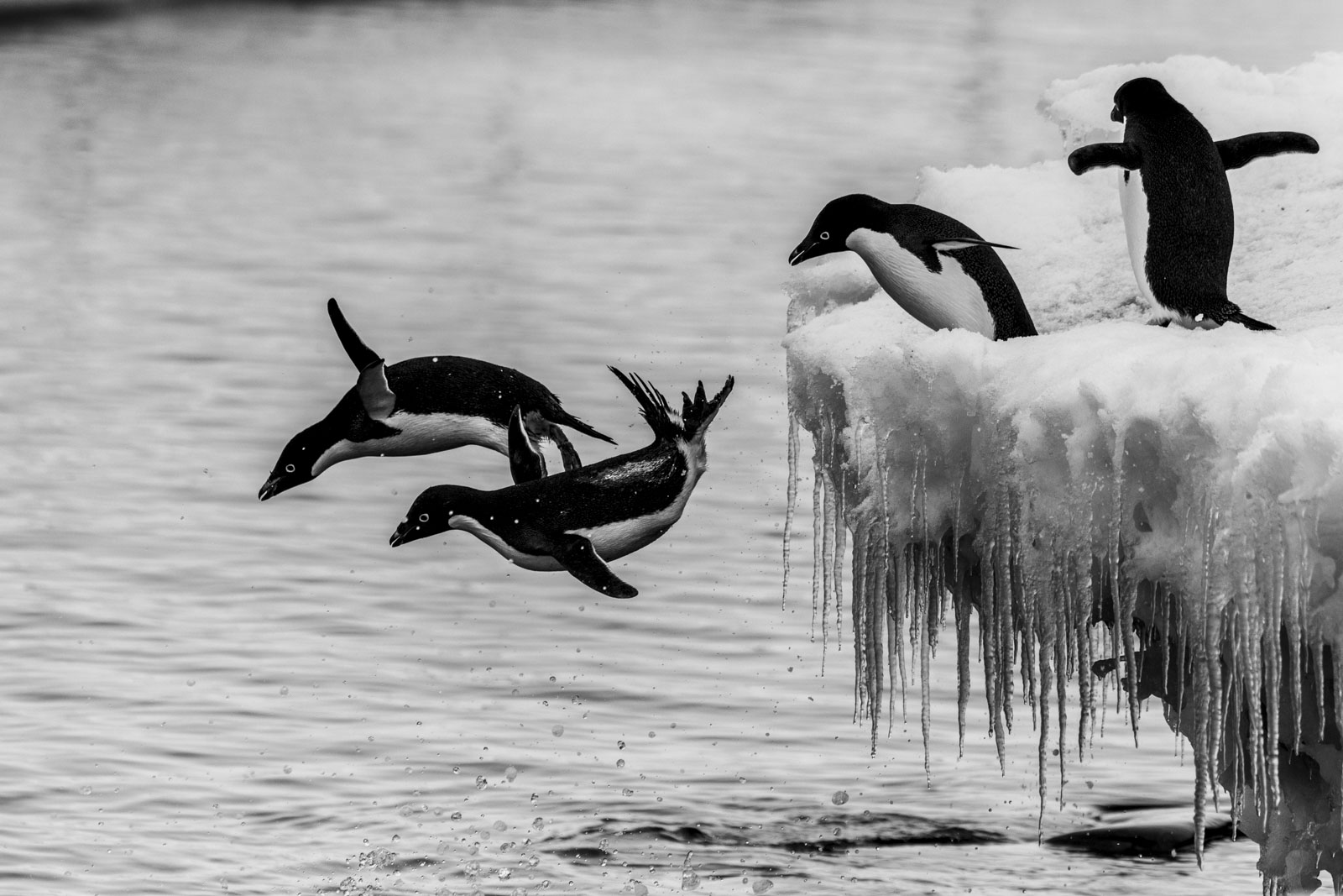 GYT 20230107 170635  DSC1651