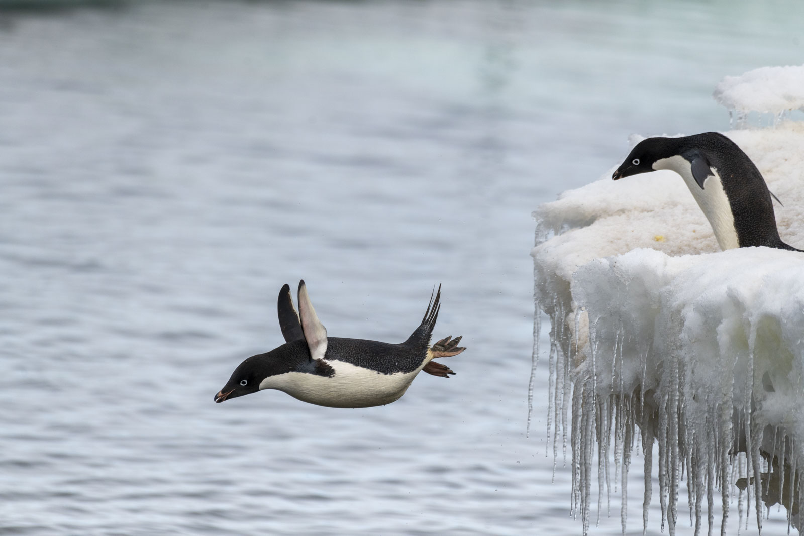 GYT 20230107 171003  DSC1662