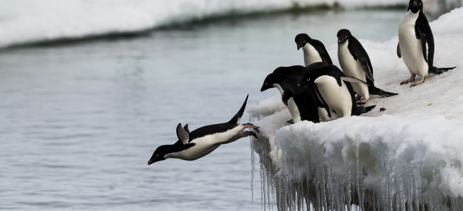 GYT 20230107 172007  DSC1688