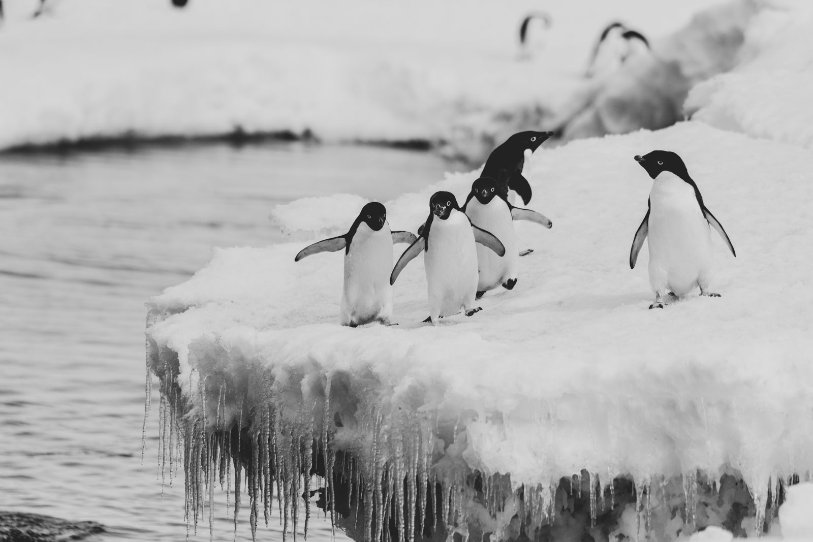 GYT 20230107 172101  DSC1692