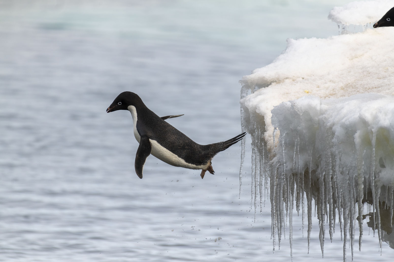 GYT 20230107 172118  DSC1694