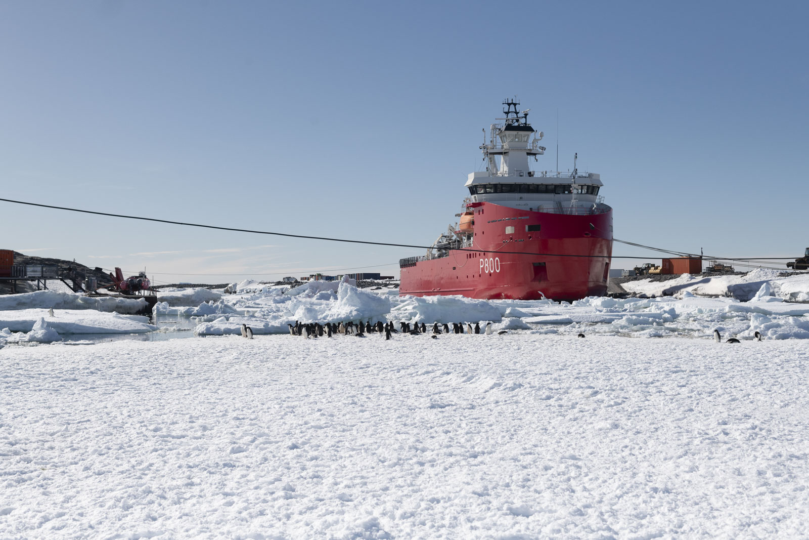 GYT 20230116 181247  DSC1710