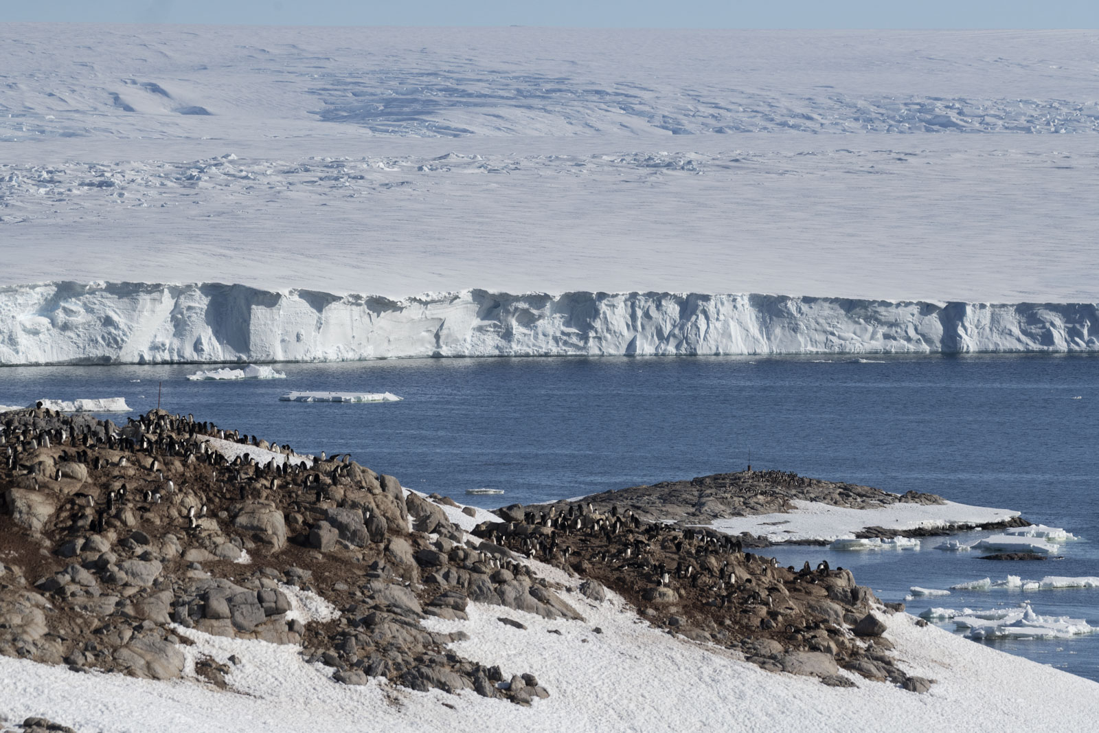 GYT 20230116 183444  DSC1730