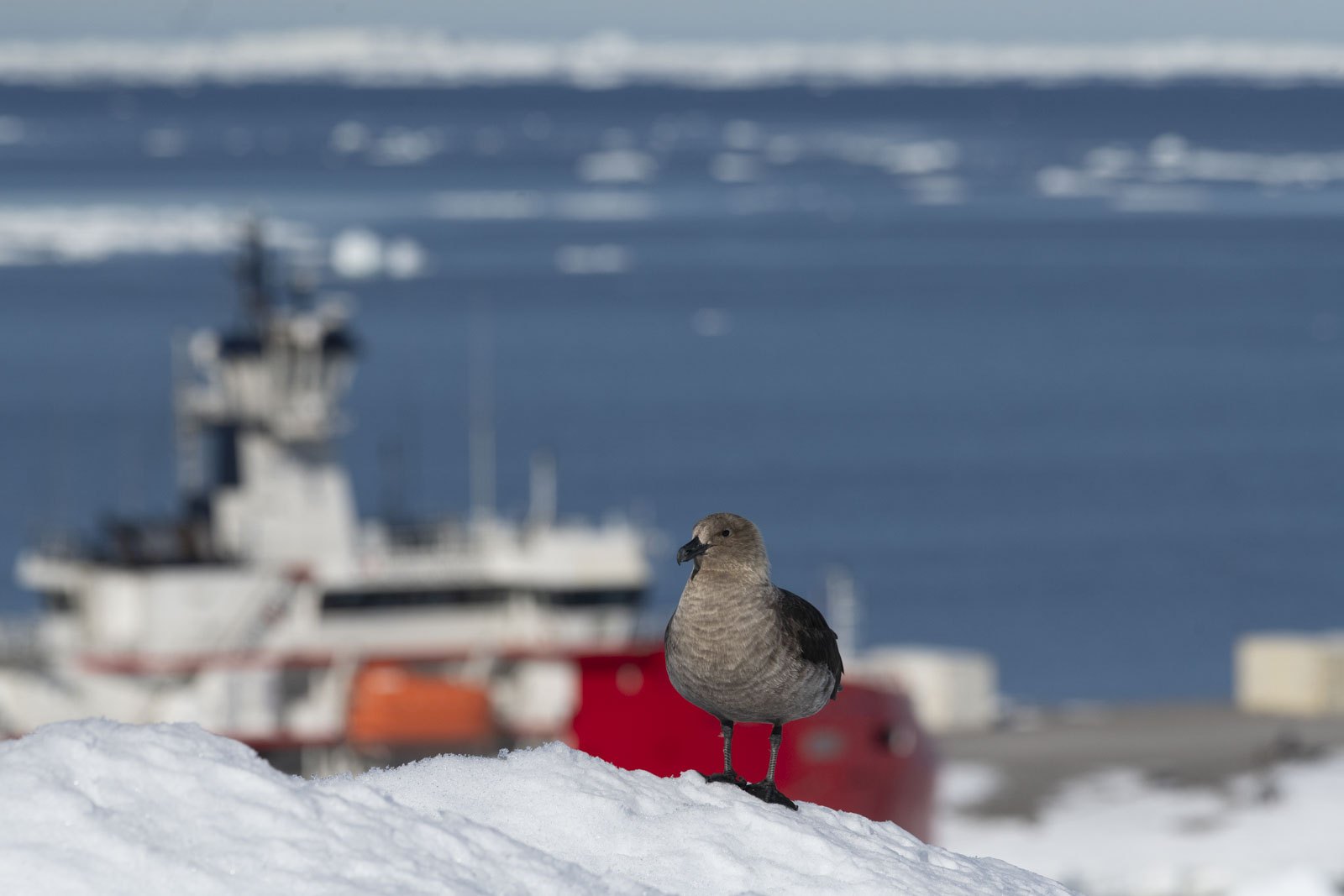 GYT 20230116 184251  DSC1739