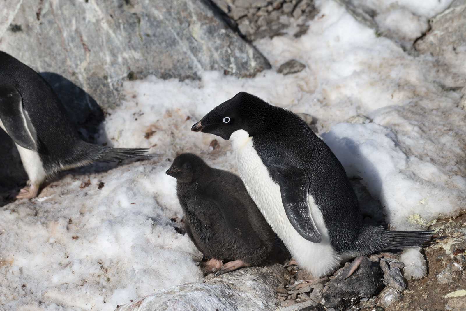 GYT 20230116 185807  DSC1771