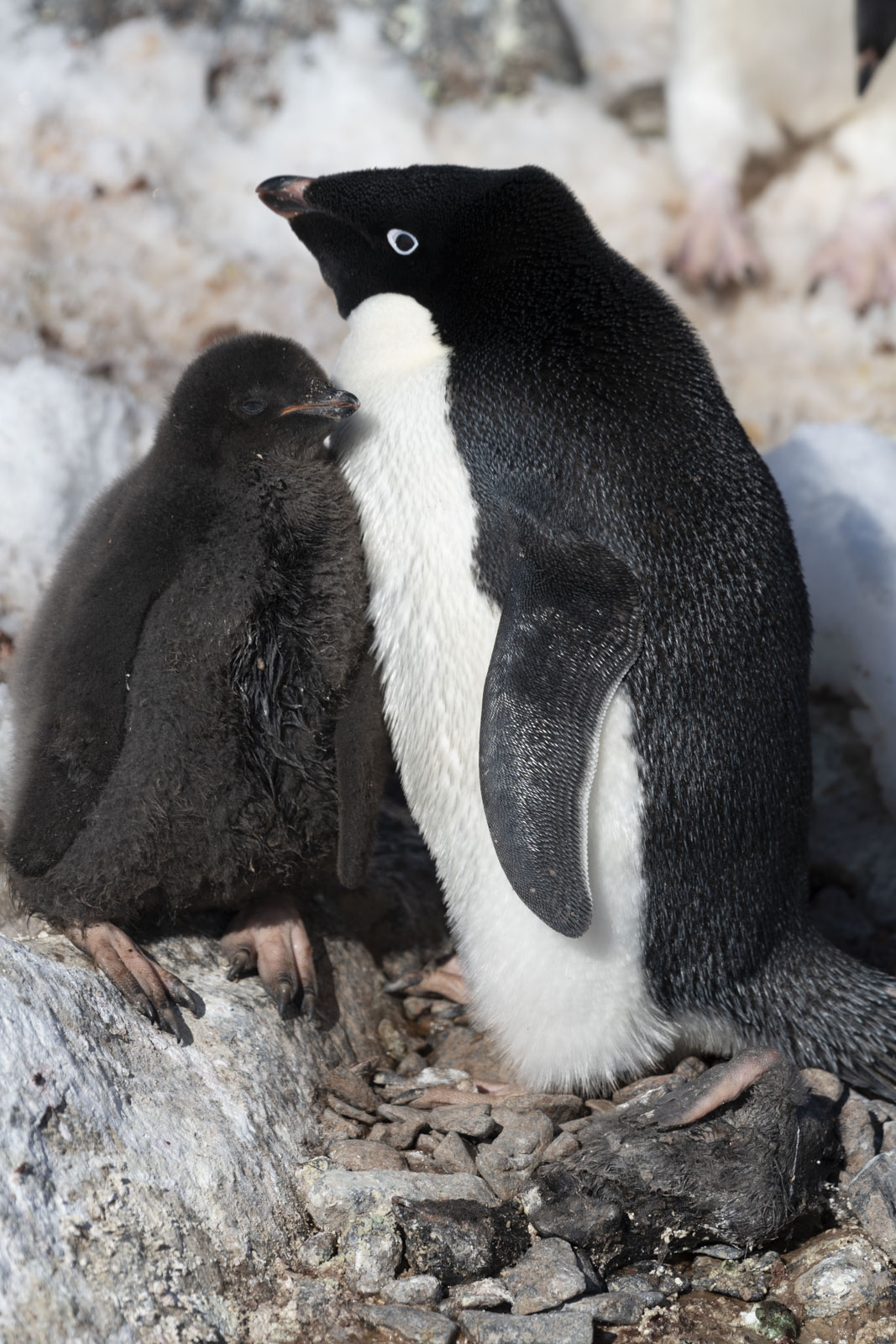 GYT 20230116 190009  DSC1782