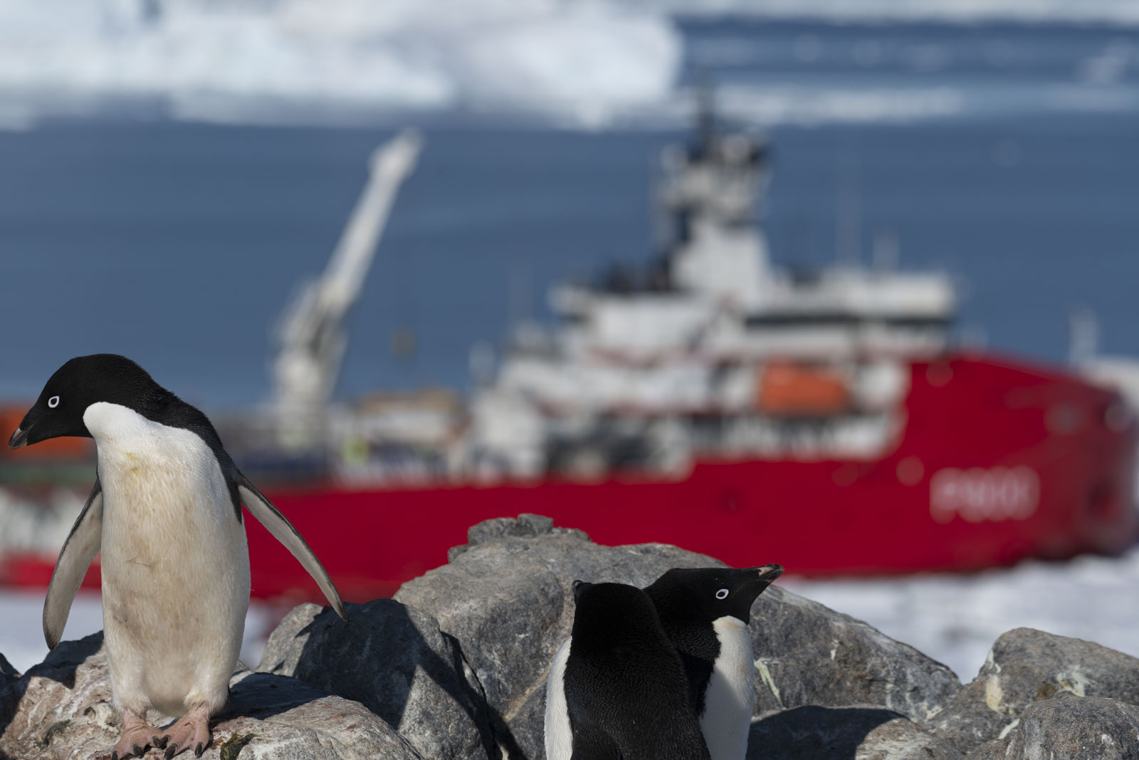 GYT 20230116 190249  DSC1789