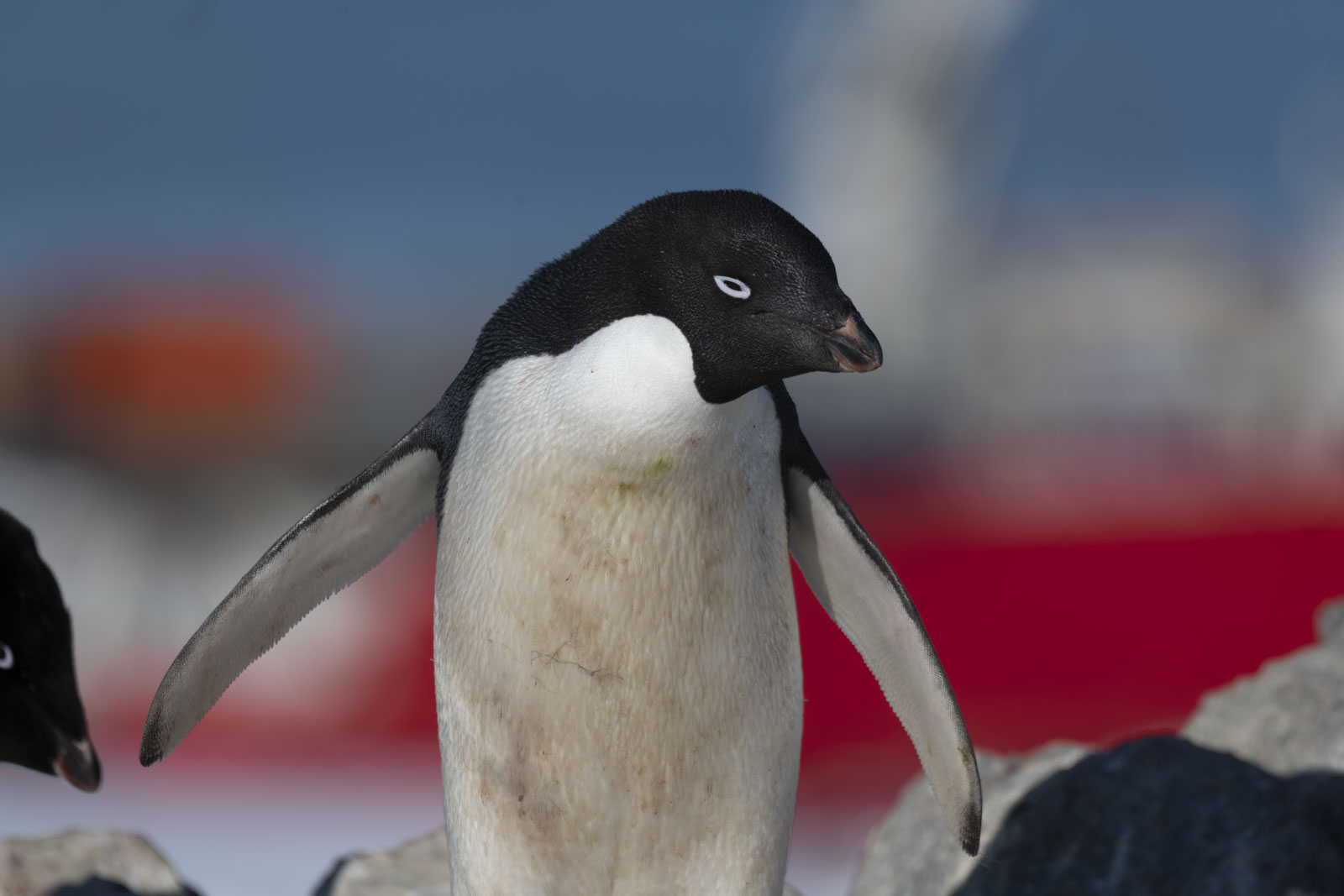 GYT 20230116 190343  DSC1793