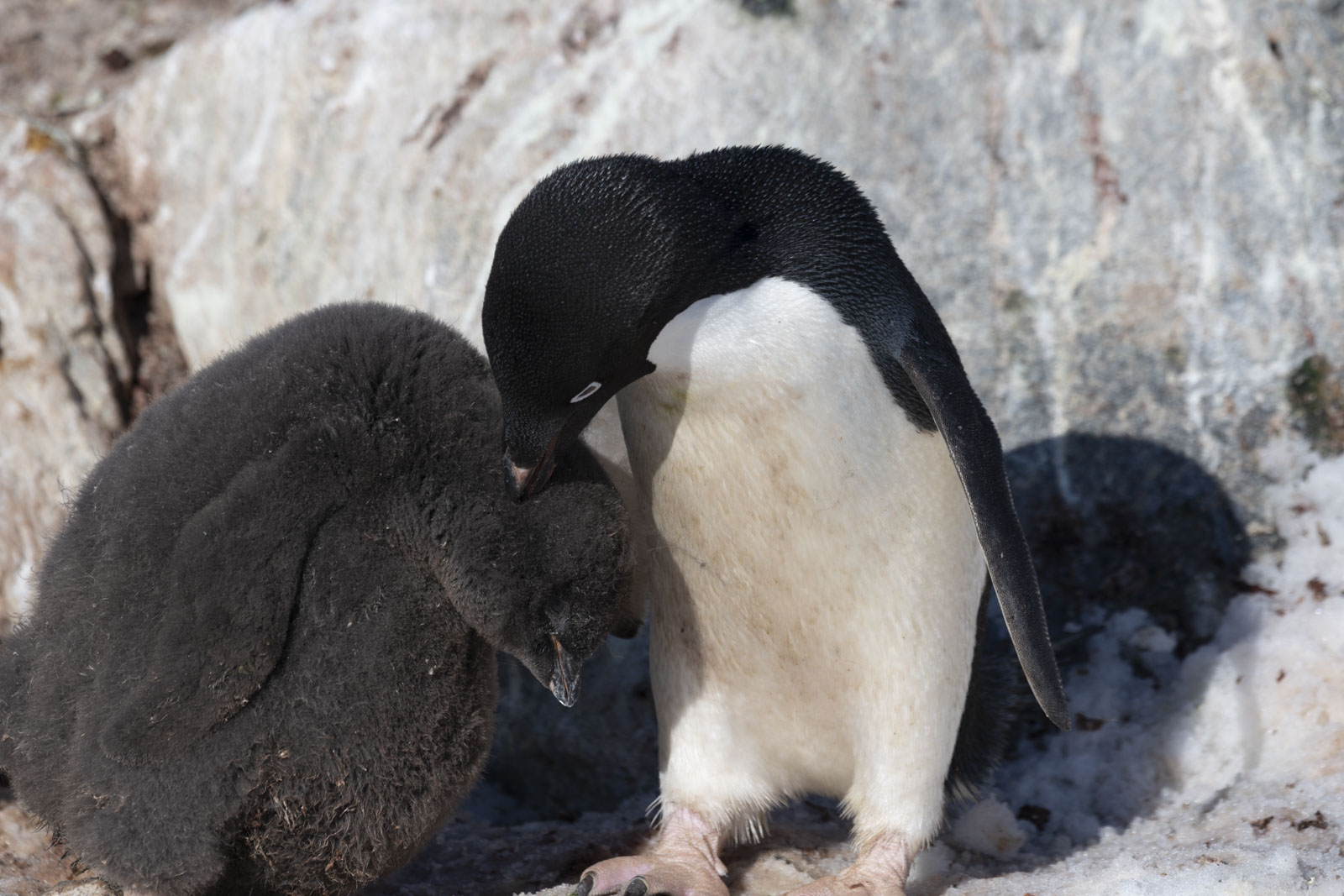 GYT 20230116 190628  DSC1794