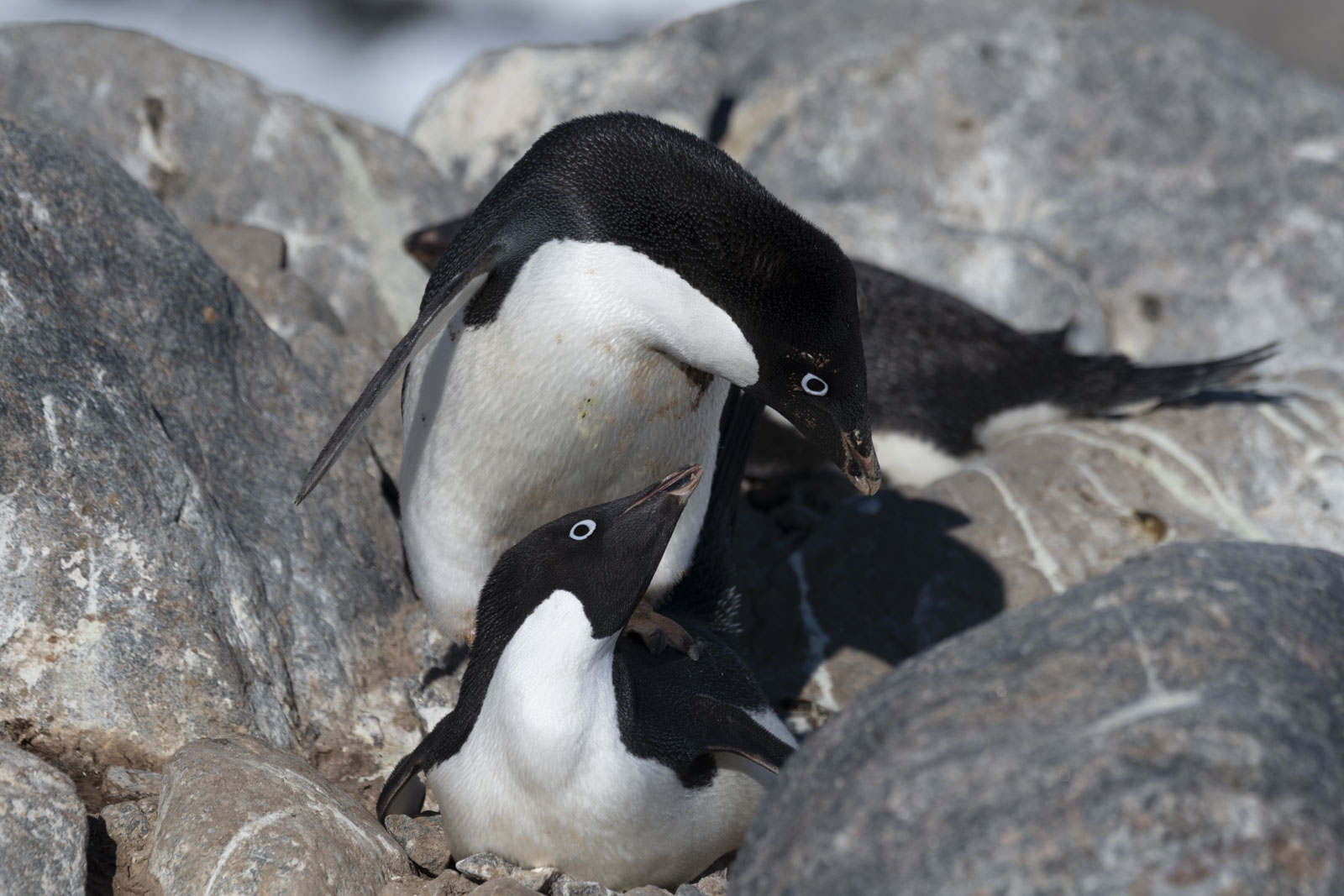 GYT 20230116 190646  DSC1795