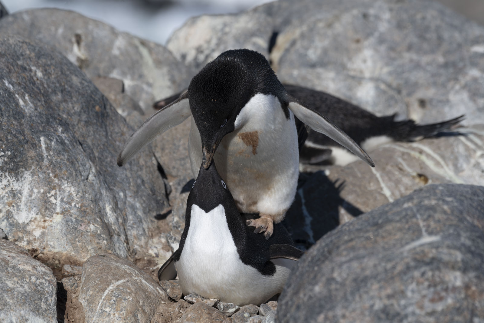 GYT 20230116 190655  DSC1799