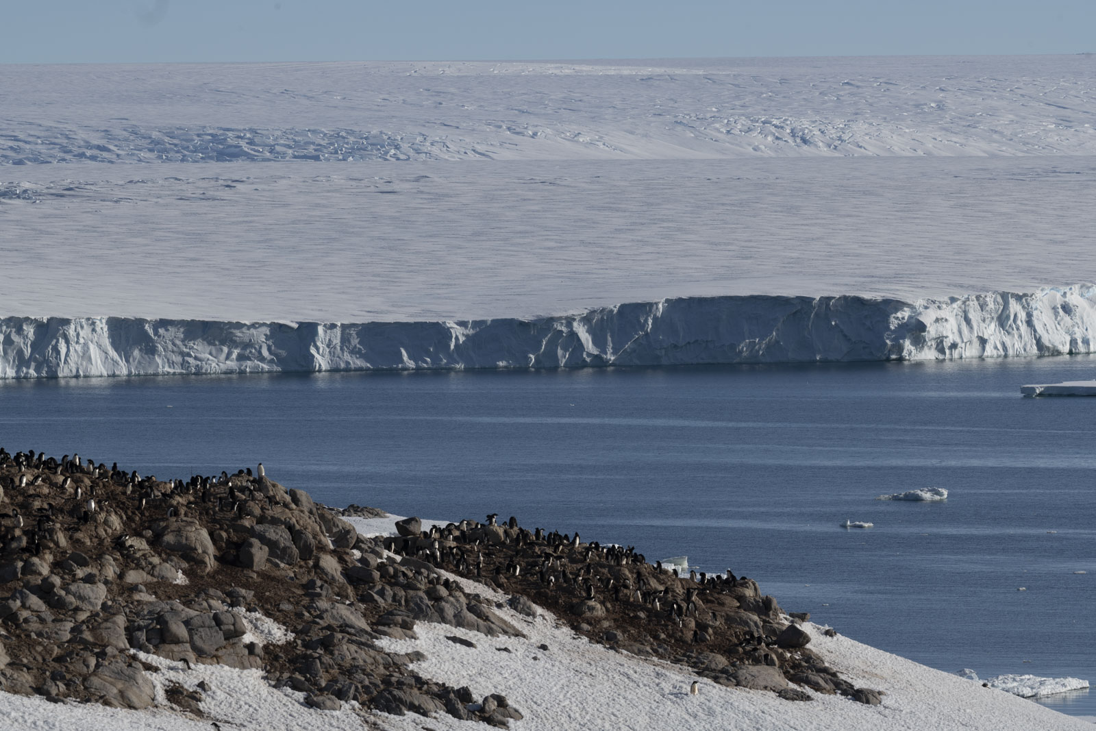 GYT 20230116 191401  DSC1802