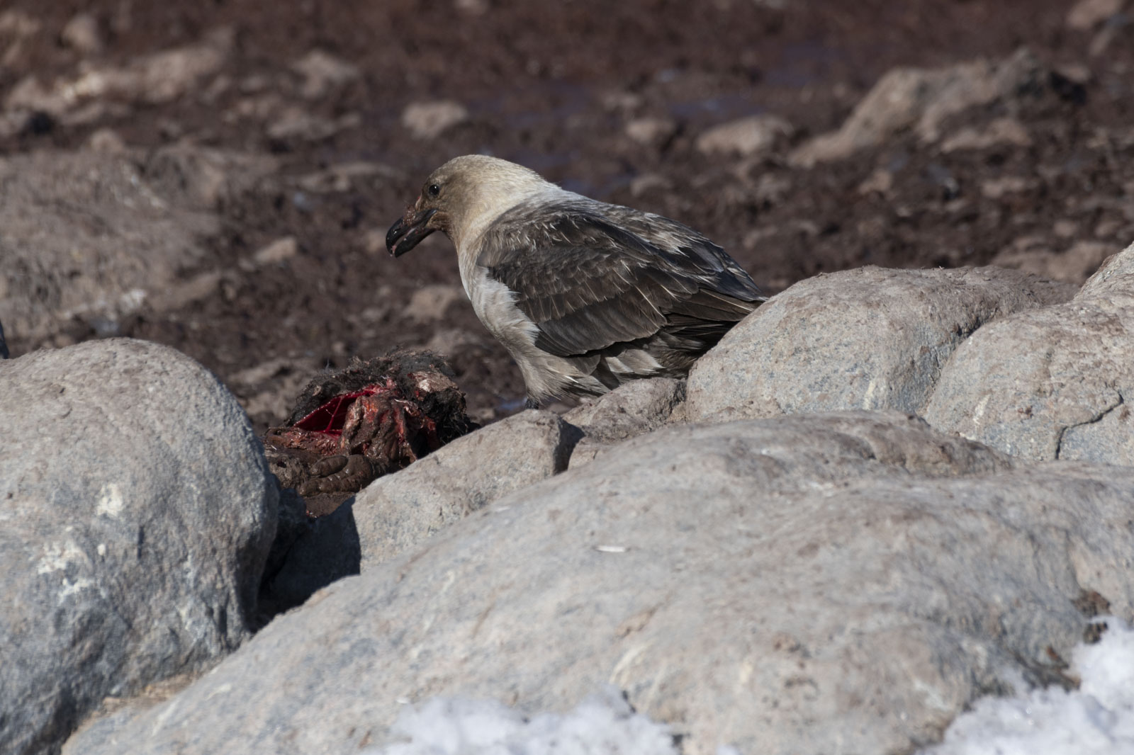 GYT 20230116 192231  DSC1812