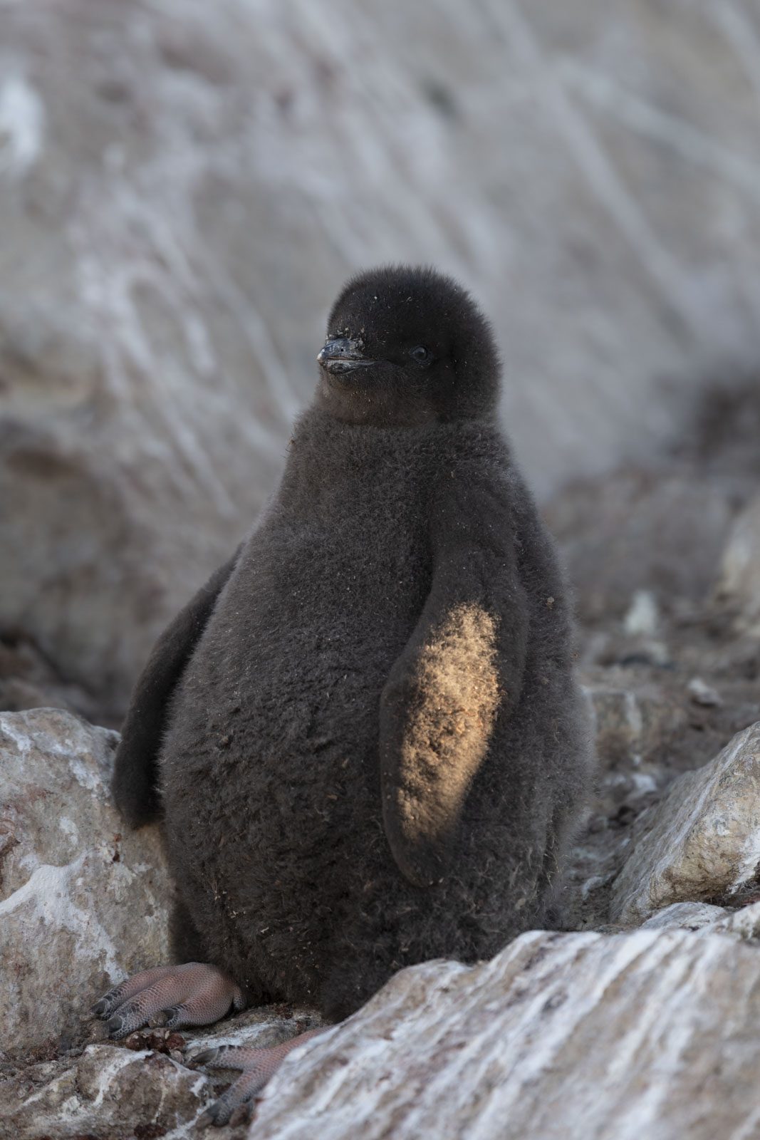 GYT 20230116 193244  DSC1828