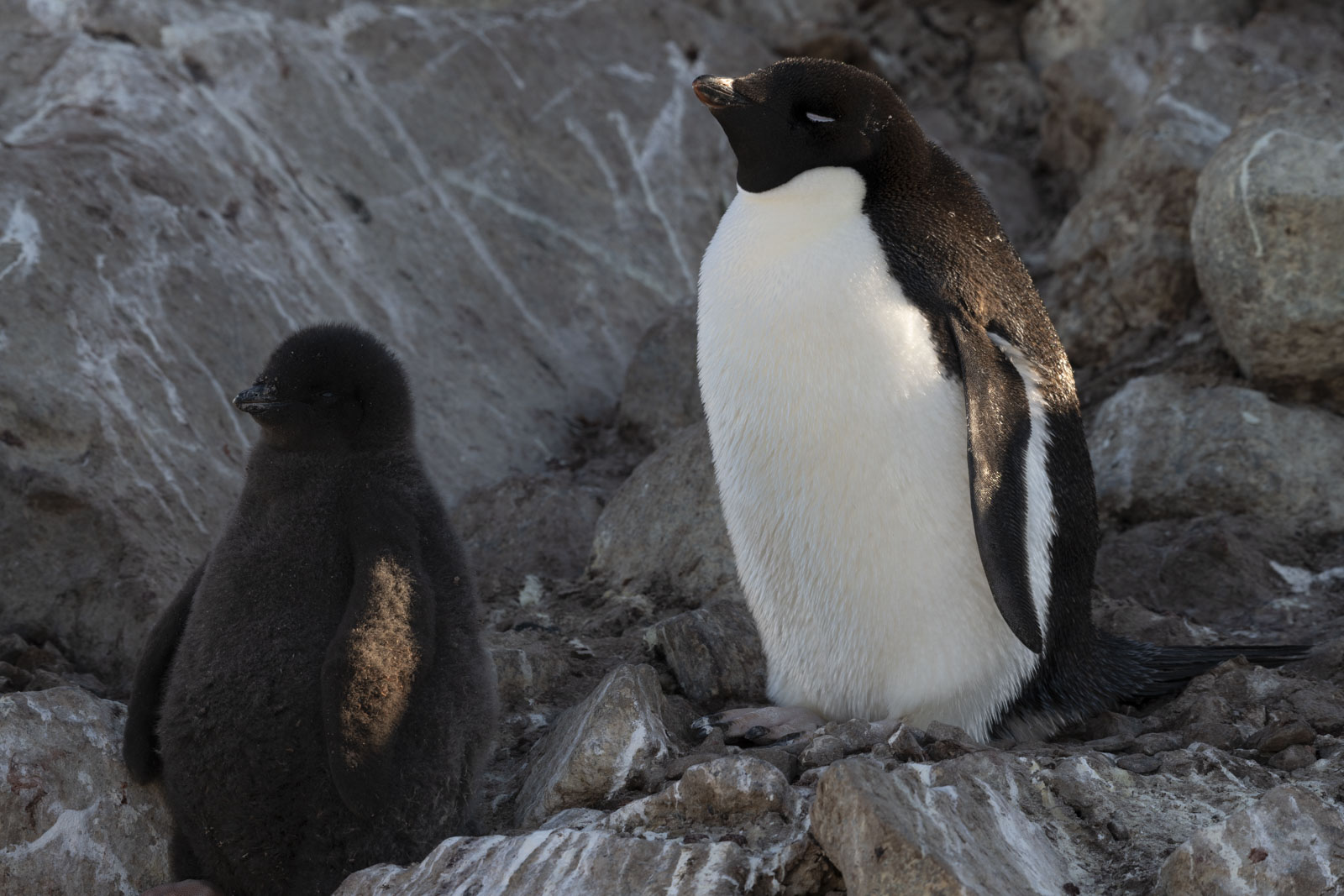 GYT 20230116 193309  DSC1829