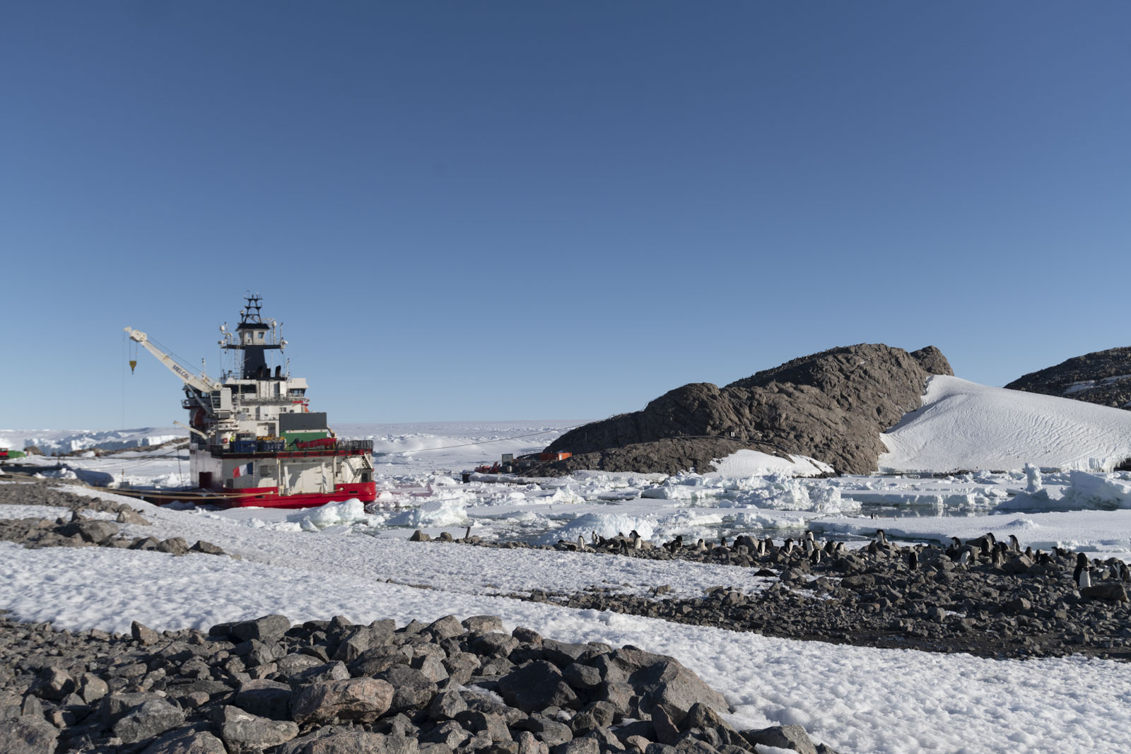 GYT 20230116 195134  DSC1839